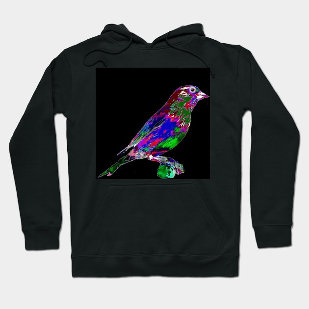 Colorful Finch Bird Hoodie by CarloVaro